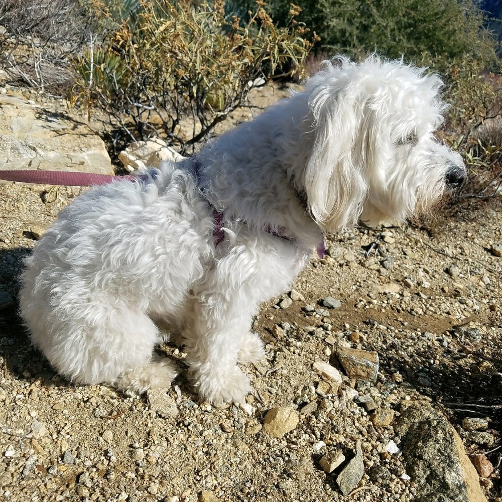 Meet your Posher, Silvia